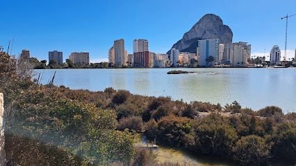 Parking de tierra gratuito (solo coches)
