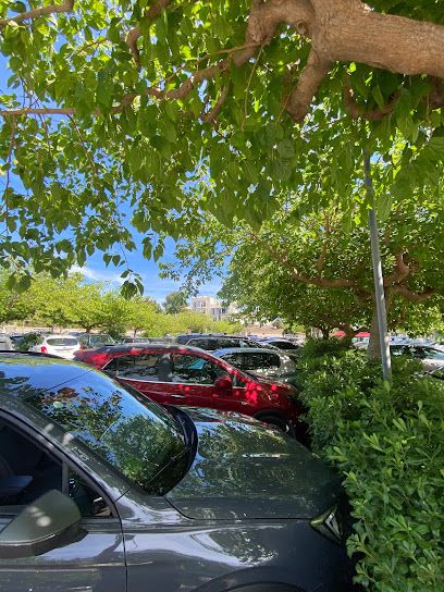Parking Puerto De Alcudia