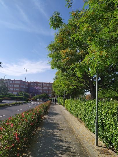 Parking Público