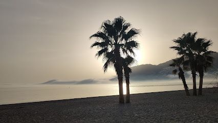 Parking De La Herradura EL VIVERO