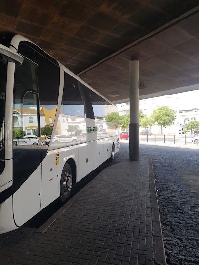 T Bus Sanlúcar estación Bus dársena 7 y 8