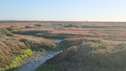 Aparcamiento Feria San Fernando