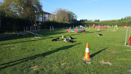 [P] Parking Club Agility Euskadi