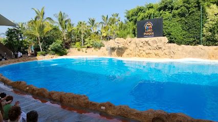Aparcamientos del Loro Parque