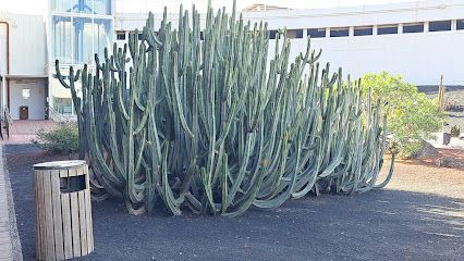 Parking P1 T1 - Aeropuerto de Lanzarote (ACE)
