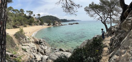 Parking Cala Treumal