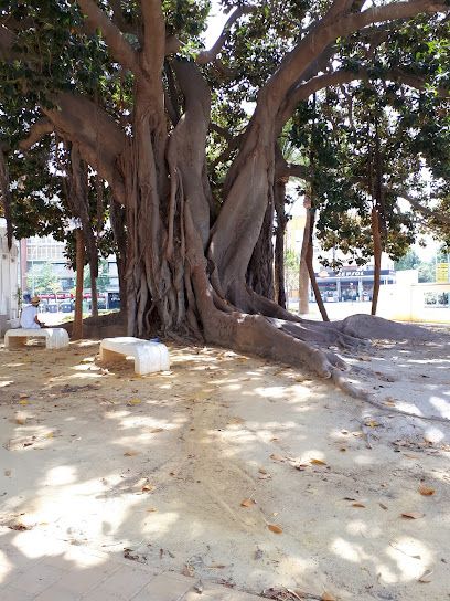 Parking Alameda