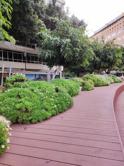 Plaza de España