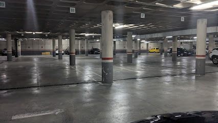 Parking Alameda Centro