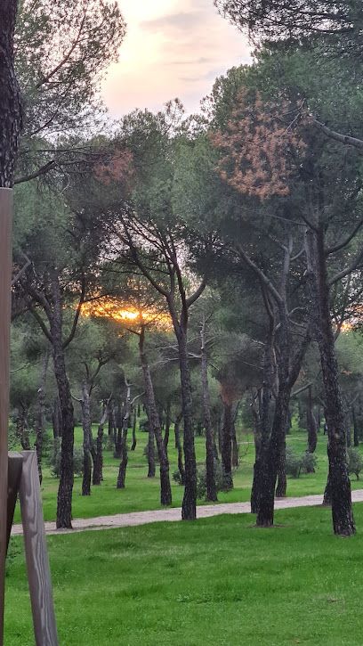 Parking Pinar de Las Rozas