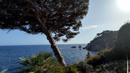 Parking Cala Bona
