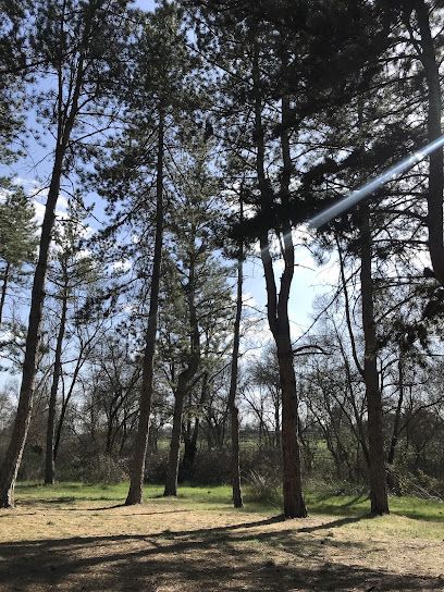 Aparcamiento Parque del curso medio del río Guadarrama