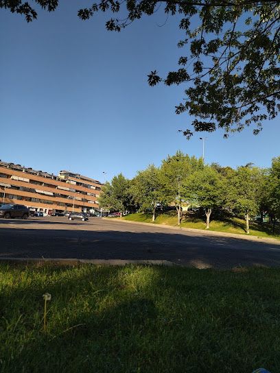 Parking Mercadillo