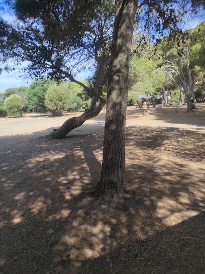 Parking La Jungla