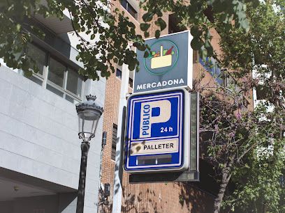 PARKING PUBLICO PALLETER 1