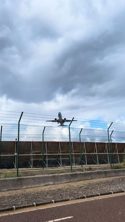 Airport Viewpoint Parking