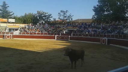 Parking Plaza Toros San Lorenzo