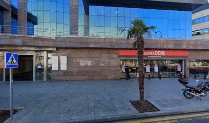 Promoparc Subterraneo Servicios S.L.