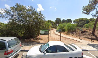 Parking Amazonia